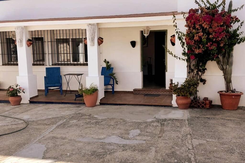 Sagrado Corazon - Chalet Con Piscina, A 25M Playa Санлукар-де-Баррамеда Екстер'єр фото